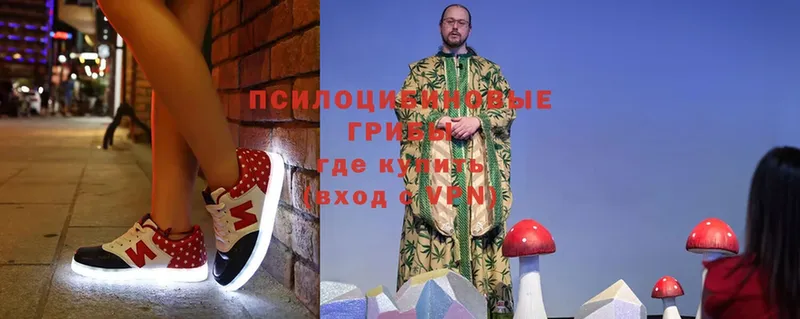 OMG ссылка  Ярославль  Галлюциногенные грибы Cubensis 